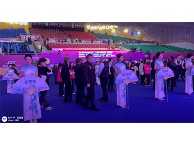 🎉 Taobh thiar de na Láithreacha: An Socair Roimh an Stoirm!